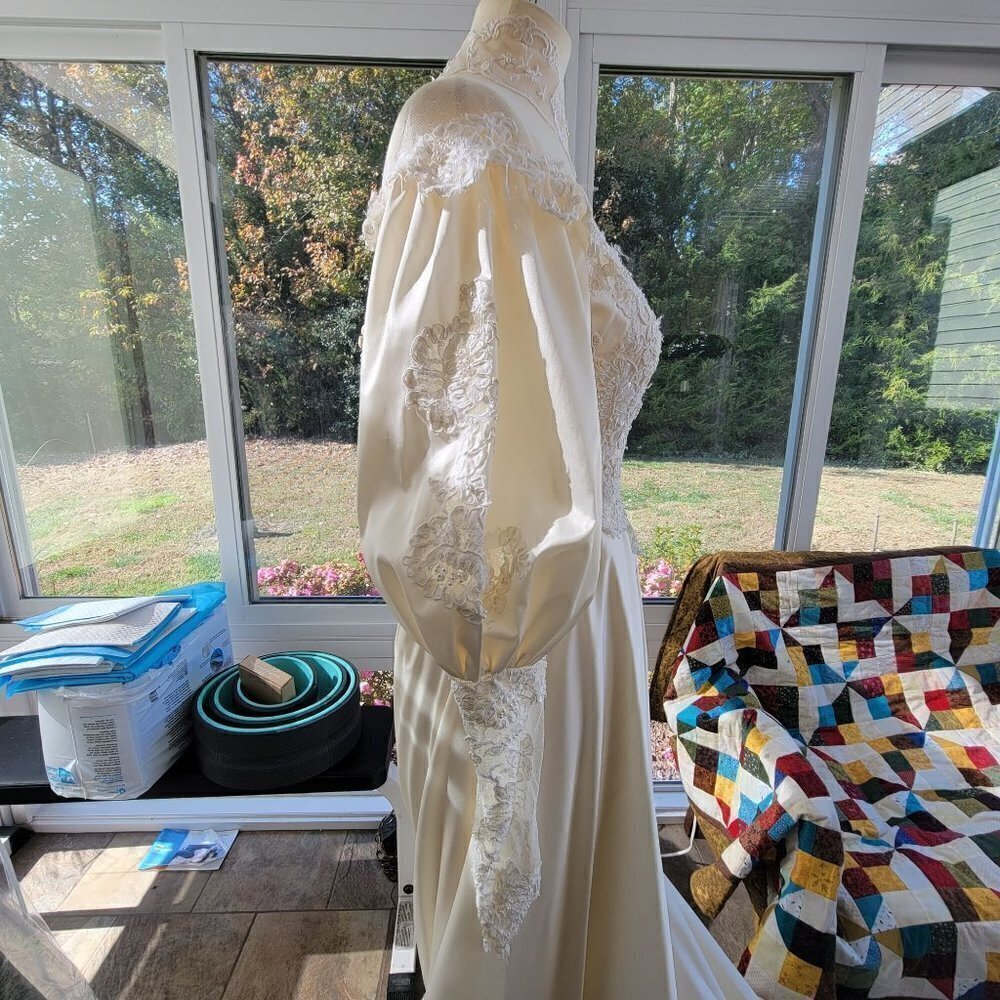 Fantastic Vintage Lace, Satin, Buttons, and puffy sleeves - Picture 7 of 16